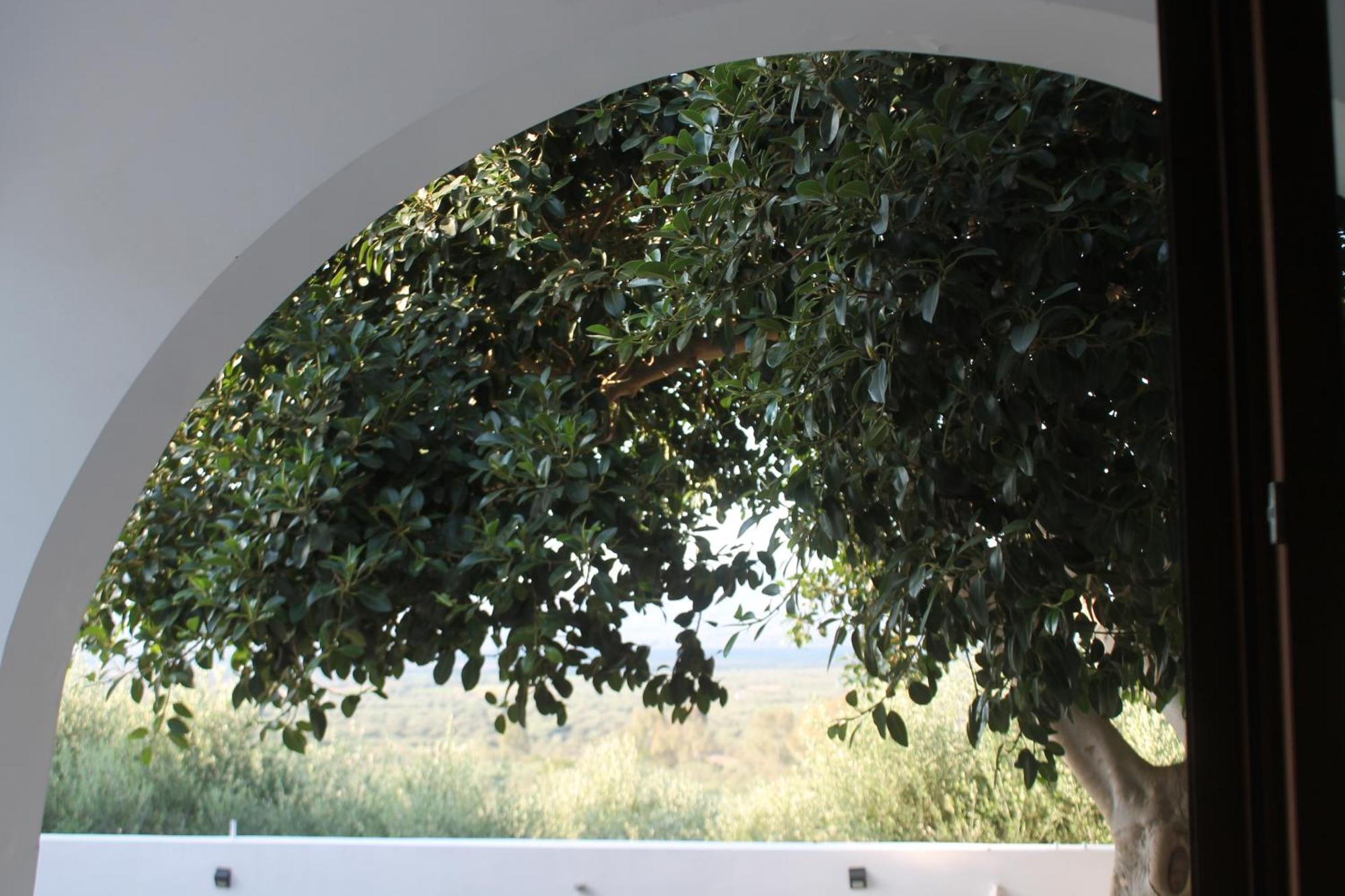 A Crystal Clear House In Pyrgos, Heraklion Crete Pirgos  Luaran gambar